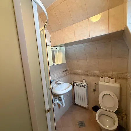 Lejlighed Planinska Kuca Dzoni *